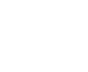 salem logo