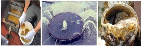 Fats Oils and Grease