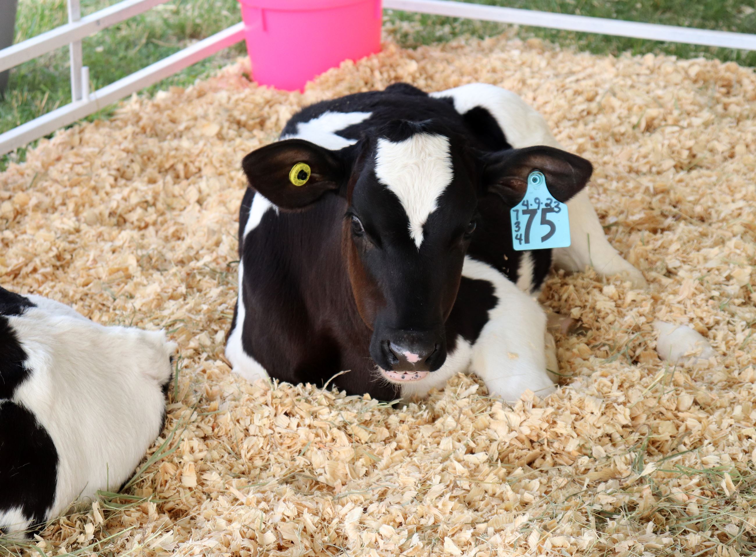 Small world of agriculture